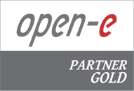 Open-E Gold Partner